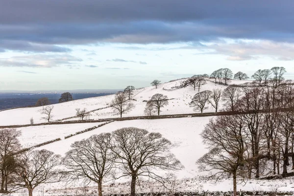 Winter Countryside Snow Tegg Nose Country Park Macclesfield Cheshire — Stockfoto