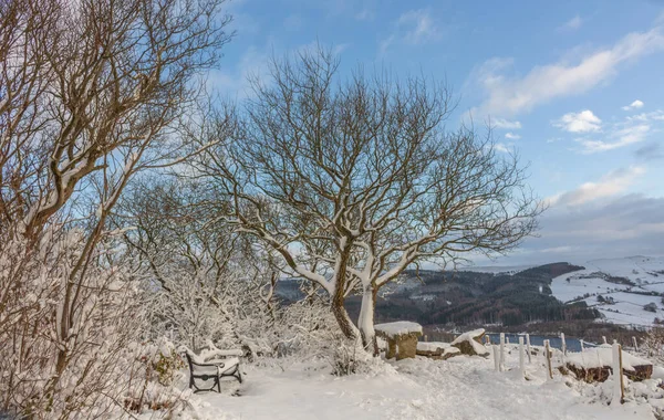 雪の中の冬の田舎 Tegg Nose Country Park Macclesfield Cheshire — ストック写真