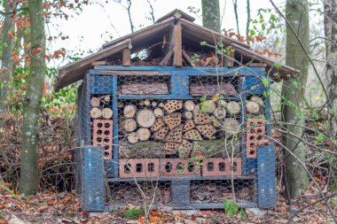 Böcekleri çekecek kütükler, Reddish Vale Country Park, Stockport, Cheshire, İngiltere.