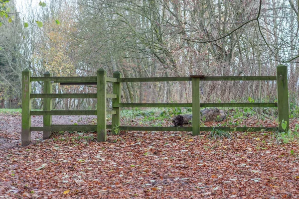 Drewniana Brama Ogrodzenie Lesie Reddish Vale Country Park Stockport Cheshire — Zdjęcie stockowe