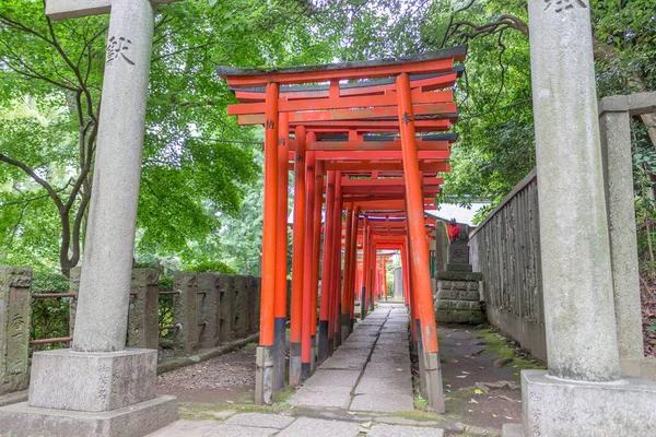 Túnel Puertas Torii Rojas Santuario Nezu Ueno Tokio Japón —  Fotos de Stock