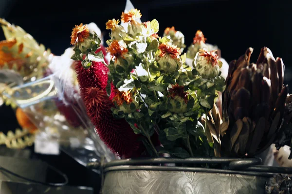 Suszenie kwiatów — Zdjęcie stockowe