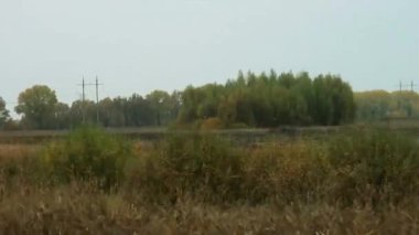 Karayolu boyunca sonbahar sahne