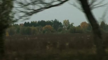 alanlar, ağaçlar, yol boyunca köyleri