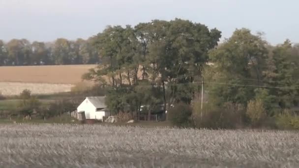 Herfst landschap langs de snelweg — Stockvideo