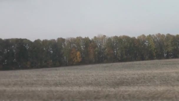 Autumn scenery along the highway — Stock Video