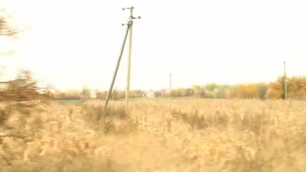 Paisajes otoñales a lo largo de la carretera — Vídeo de stock