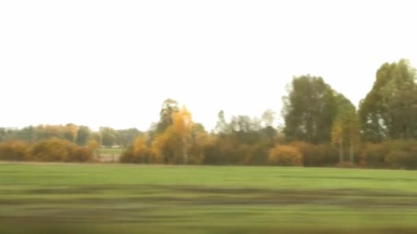Karayolu boyunca sonbahar sahne — Stok video