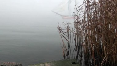 zeilboot in volledige zeil komt uit mist