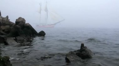 zeilboot in volledige zeil komt uit mist