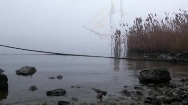 zeilboot in volledige zeil komt uit mist