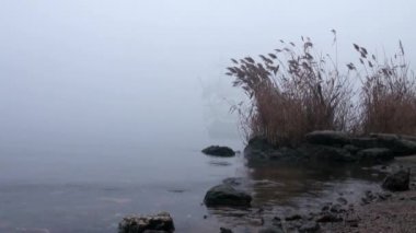 zeilboot in volledige zeil komt uit mist