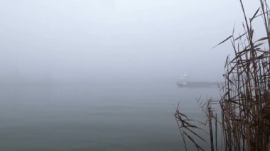 Denizaltı yelkenleri sahile sisin içinde geçmiş