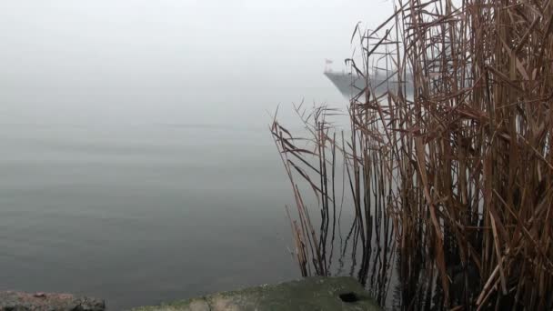 Un vaisseau de guerre surgit du brouillard — Video