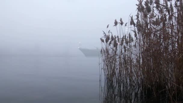 Nave de guerra sale de la niebla — Vídeos de Stock