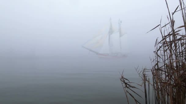 Sailboat in full sail comes up out of fog — Stock Video