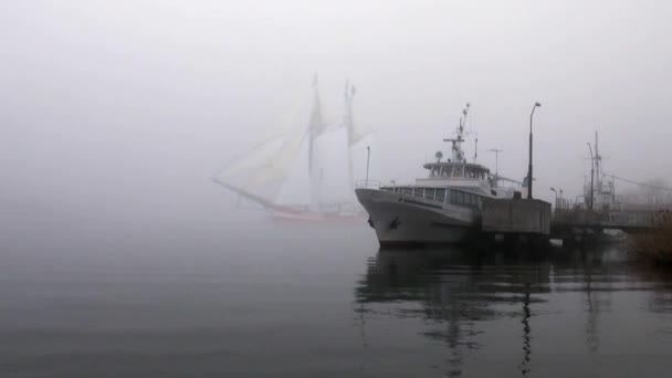 Sailboat in full sail comes up out of fog — Stock Video