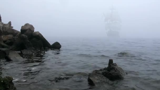 Zeilboot in volledige zeil komt uit mist — Stockvideo