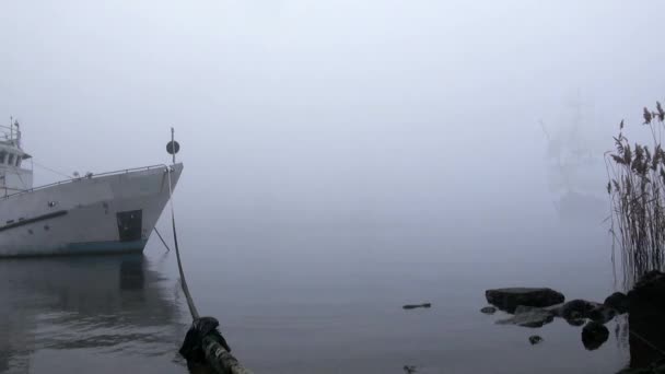 Velero en vela completa sale de la niebla — Vídeos de Stock