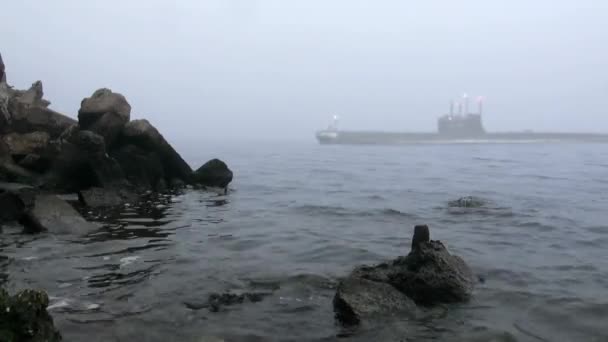Submarine sails past the coast in the mist — Stock Video