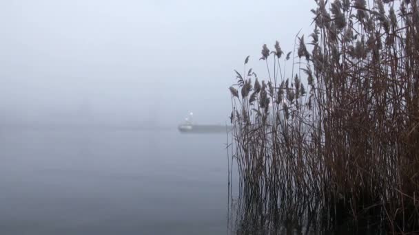 Onderzeese zeilen langs de kust in de mist — Stockvideo