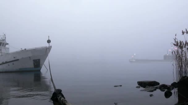 U-Boot segelt im Nebel an der Küste vorbei — Stockvideo