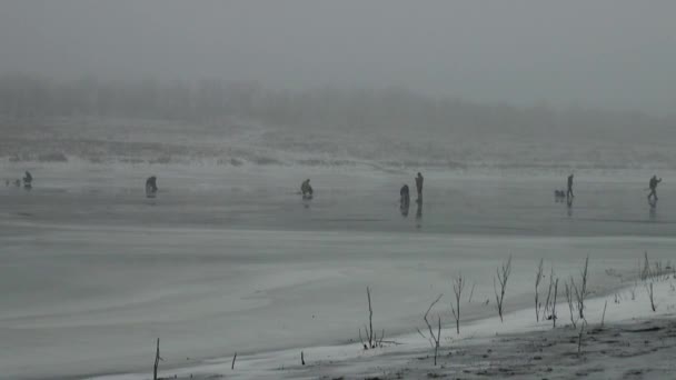 人漁師冬の氷の上の競争に座って行く — ストック動画