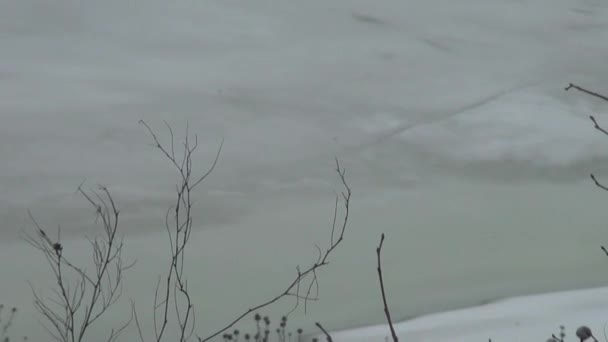 La gente pescadores ir sentarse en la competencia en el hielo en invierno — Vídeo de stock