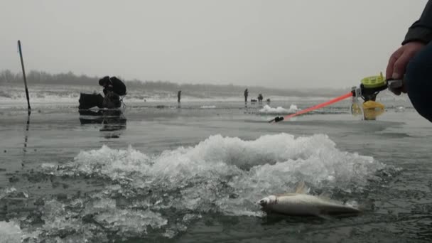 구멍 근처 얼음 겨울에 있는 강에 낚 싯 대 — 비디오