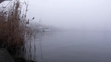 Sazlık Nehri sis sonbahar kamışı noktasındaki kıyıda