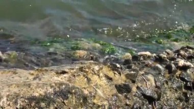 Deniz su dalgaları kayalık yapısı isabet