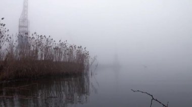 Sazlık Nehri sis kamışı Güz limanında kıyısında
