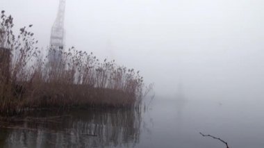 Sazlık Nehri sis kamışı Güz limanında kıyısında