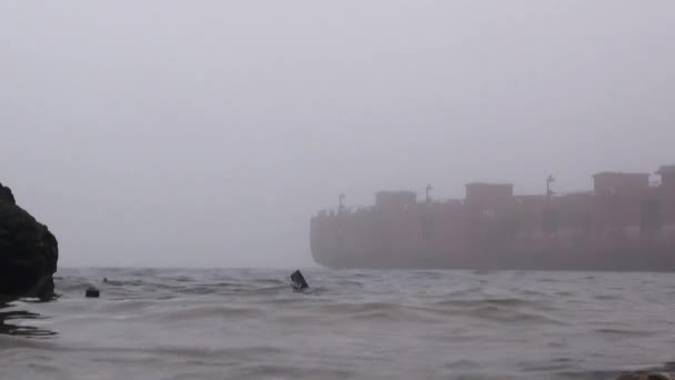 Porto da barcaça no navio de nevoeiro do rio Água do outono — Vídeo de Stock