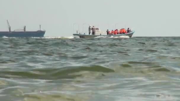 Połów Łódka płynie pływających na morzu zadokowany — Wideo stockowe
