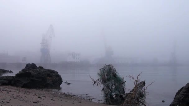 Guindastes no porto no rio em nevoeiro outono — Vídeo de Stock