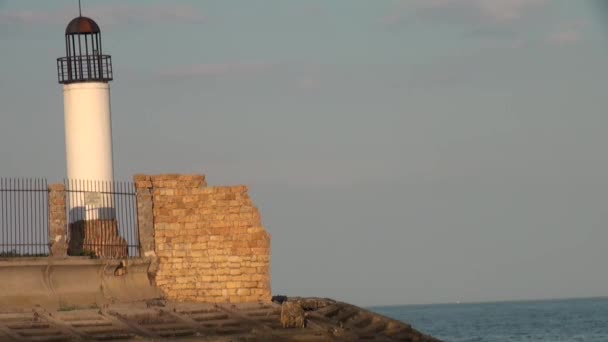 Gamla fyren vid stranden havet — Stockvideo