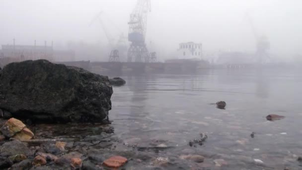 Kranen in de haven aan de rivier in het najaar van mist — Stockvideo