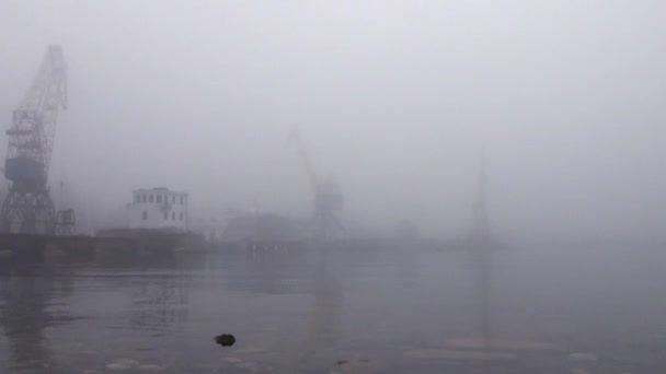 Краны в порту на реке в тумане осенью — стоковое видео