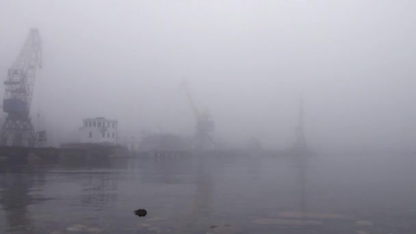 Grúas en el puerto en el río en la niebla otoño — Vídeos de Stock