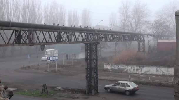Metalen boerderij op kruispunt in het najaar van mist — Stockvideo