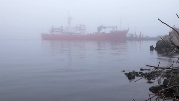 Красное грузовое судно на набережной посреди утренней осени — стоковое видео