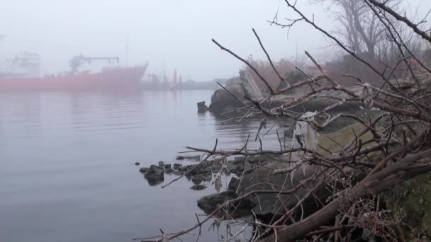 Red loading vessel on quay river in midst of morning autummn — Stock Video