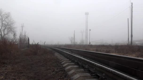 Поезд едет по рельсам осенью в тумане. — стоковое видео