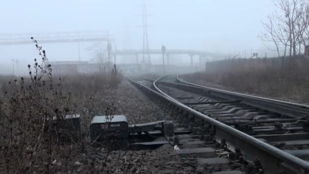 Потяги на рейках в тумані осінь — стокове відео