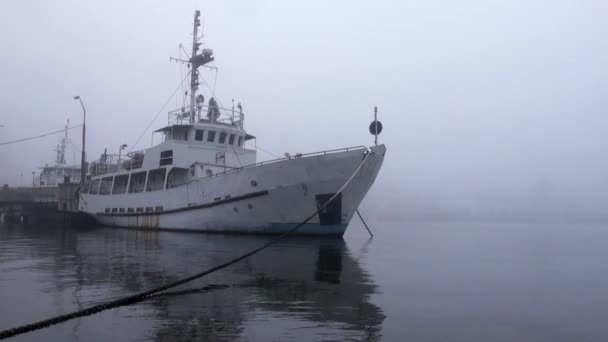 Пассажирские суда находятся на причале в тумане на реке осенью — стоковое видео
