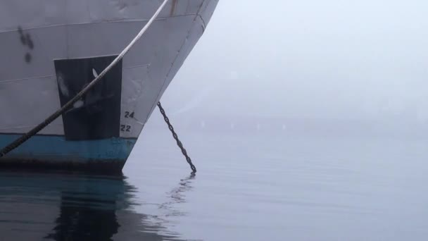 Passagierschiffe liegen im Nebel auf dem Fluss — Stockvideo