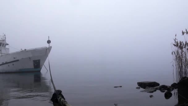 Statki pasażerskie są cumujące we mgle na rzece jesień — Wideo stockowe