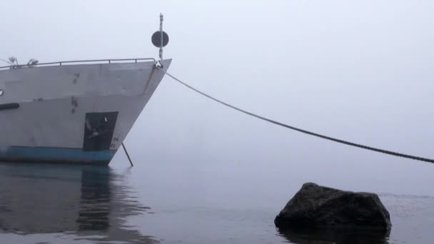 Επιβατηγά πλοία είναι ελλιμενισμένα σε ομίχλη στο φθινόπωρο του ποταμού — Αρχείο Βίντεο