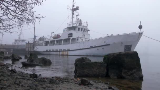 Los buques de pasaje están atracados en la niebla en el otoño del río — Vídeos de Stock